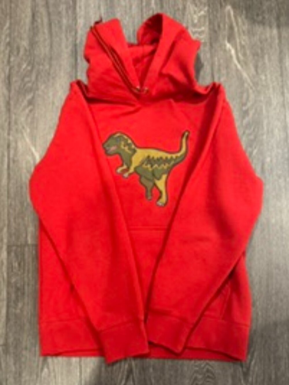 Coach Red Dinosaur Rex Graphic Pullover Hoodie